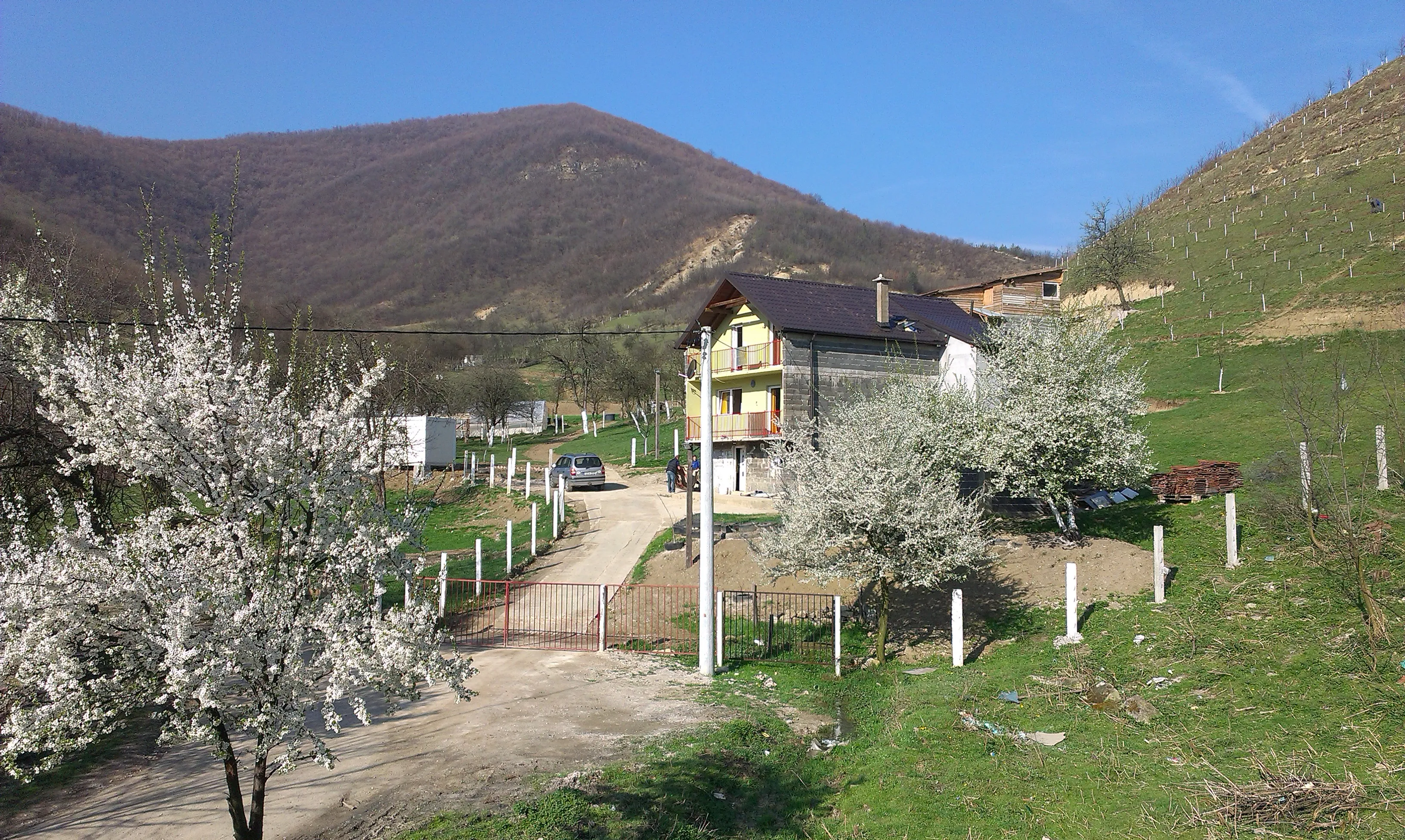 The Grace Valley house in a valley framed by cherry blossom and mountains